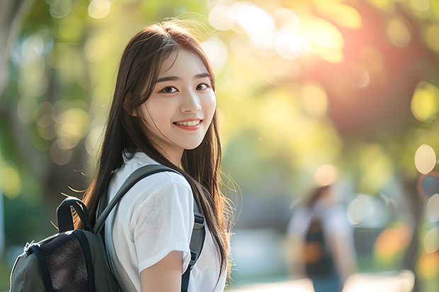 集美学院美术分数线 集美大学美术生文化录取分数线