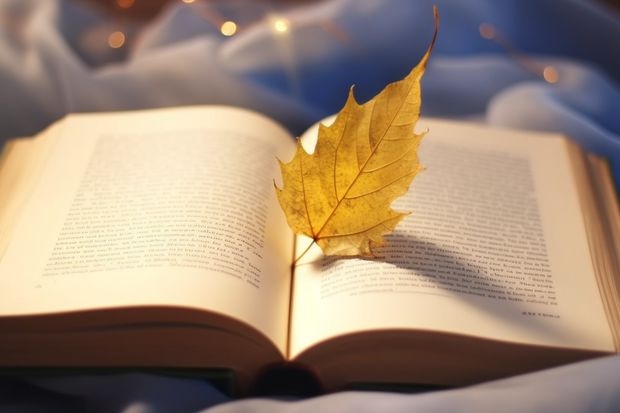 湖南师范大学树达学院成人高考好考吗？