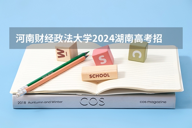 河南财经政法大学2024湖南高考招生计划 招多少人