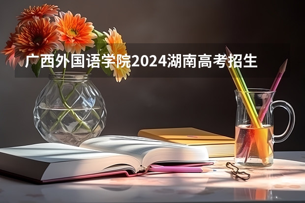 广西外国语学院2024湖南高考招生计划 招多少人