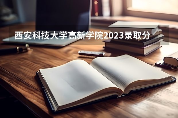 西安科技大学高新学院2023录取分数线 帮忙提供以下学校历年专升本理工类的分数线：西安科技大学，西安工业大学，陕西科技大学，西安石油大学