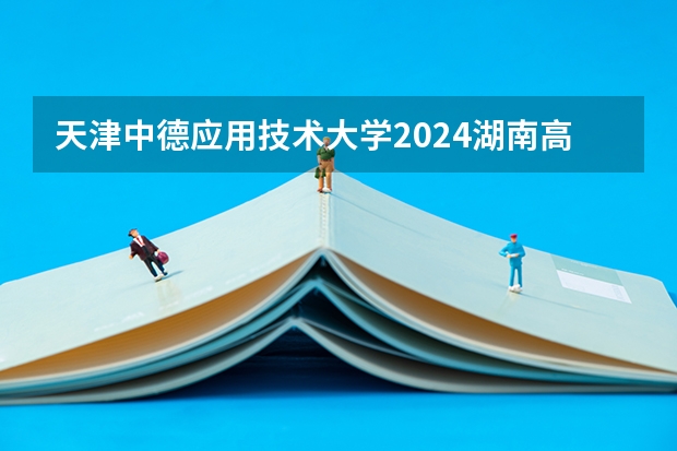 天津中德应用技术大学2024湖南高考招生计划 招多少人