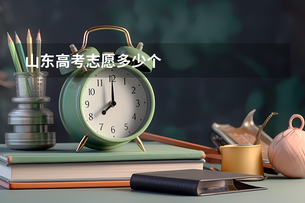 山东高考志愿多少个