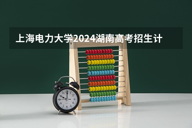 上海电力大学2024湖南高考招生计划 招多少人