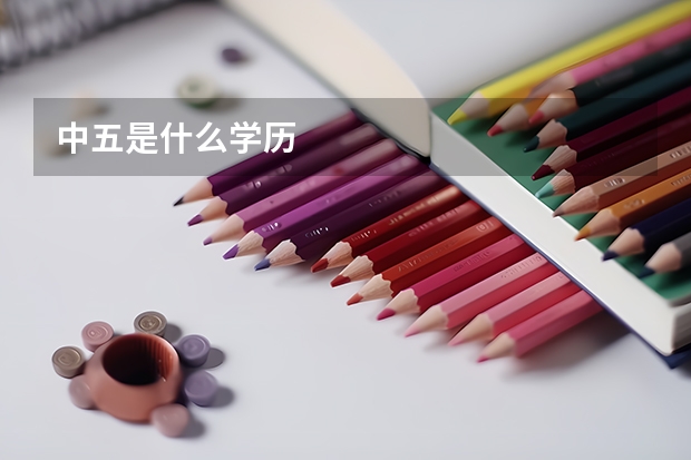 中五是什么学历