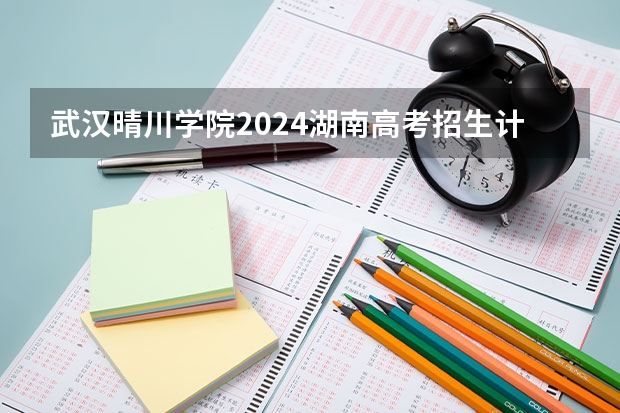 武汉晴川学院2024湖南高考招生计划 招多少人