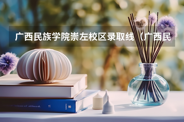 广西民族学院崇左校区录取线（广西民族大学录取分数线）