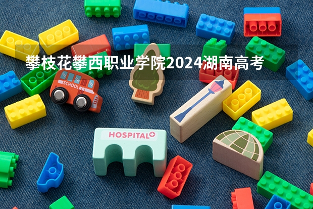 攀枝花攀西职业学院2024湖南高考招生计划 招多少人