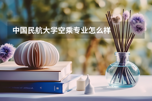 中国民航大学空乘专业怎么样