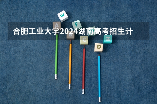 合肥工业大学2024湖南高考招生计划 招多少人