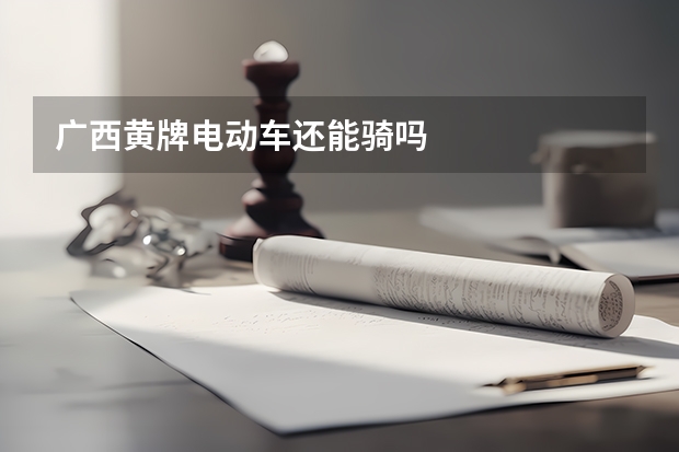广西黄牌电动车还能骑吗