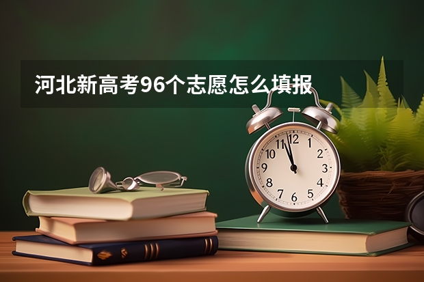 河北新高考96个志愿怎么填报