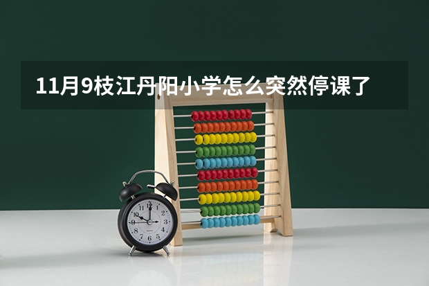 11月9枝江丹阳小学怎么突然停课了