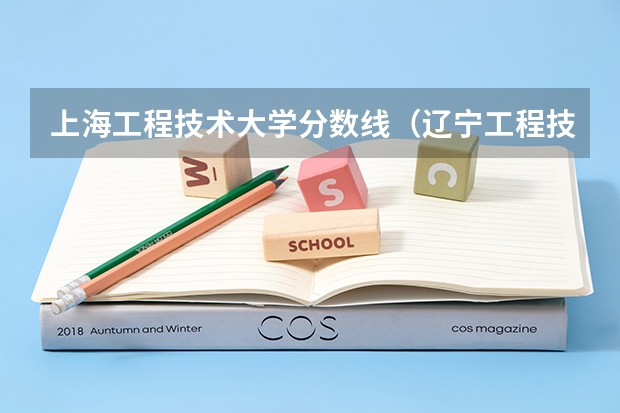 上海工程技术大学分数线（辽宁工程技术大学录取分数线）