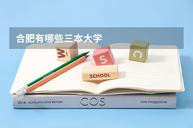 合肥有哪些三本大学
