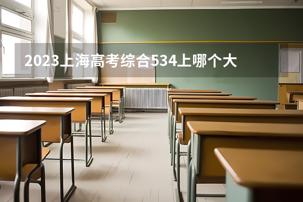 2023上海高考综合534上哪个大学合适