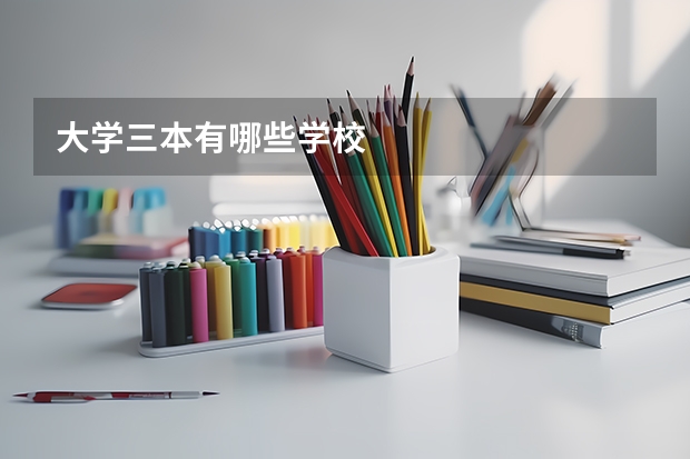 大学三本有哪些学校