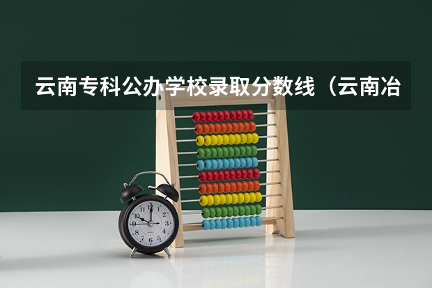 云南专科公办学校录取分数线（云南冶金高等专科学校三校生计算机专业录取分数线）