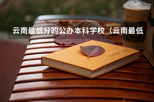 云南最低分的公办本科学校（云南最低分的公办本科学校）