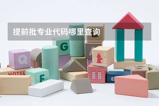 提前批专业代码哪里查询