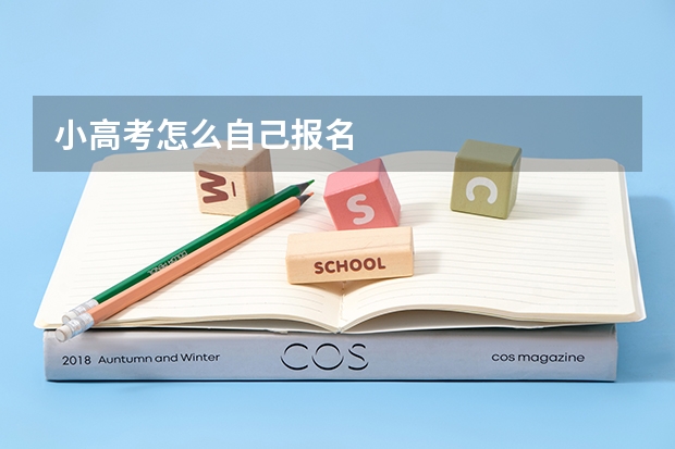 小高考怎么自己报名