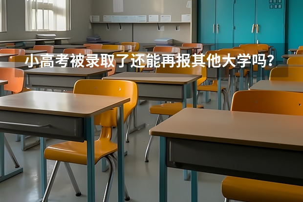 小高考被录取了还能再报其他大学吗？