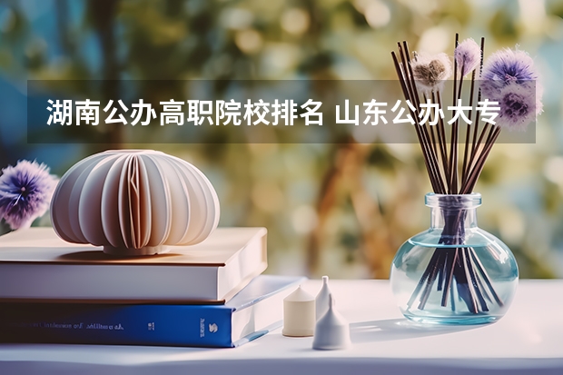 湖南公办高职院校排名 山东公办大专学校排名