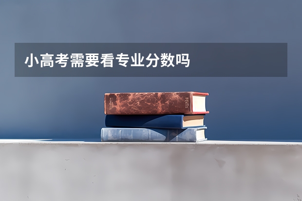 小高考需要看专业分数吗