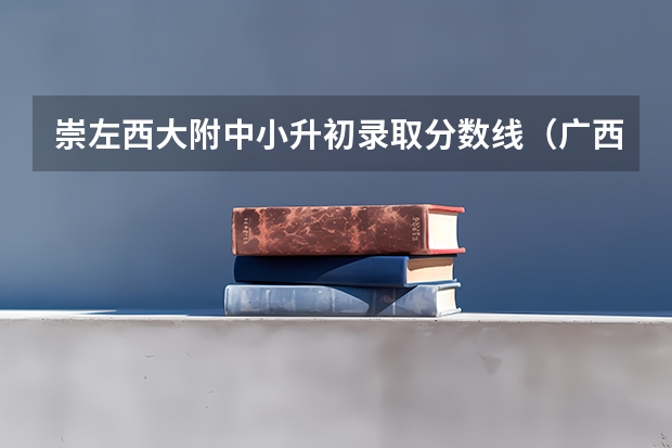 崇左西大附中小升初录取分数线（广西民族师范学院是公办还是民办大学？）