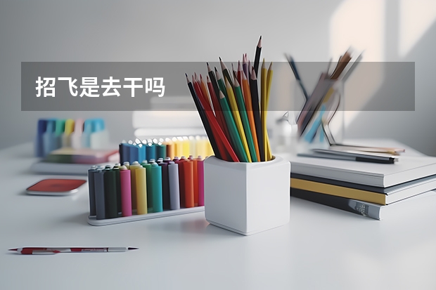 招飞是去干吗