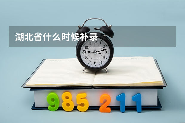 湖北省什么时候补录