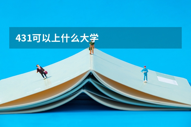 431可以上什么大学