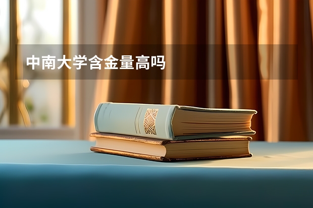 中南大学含金量高吗