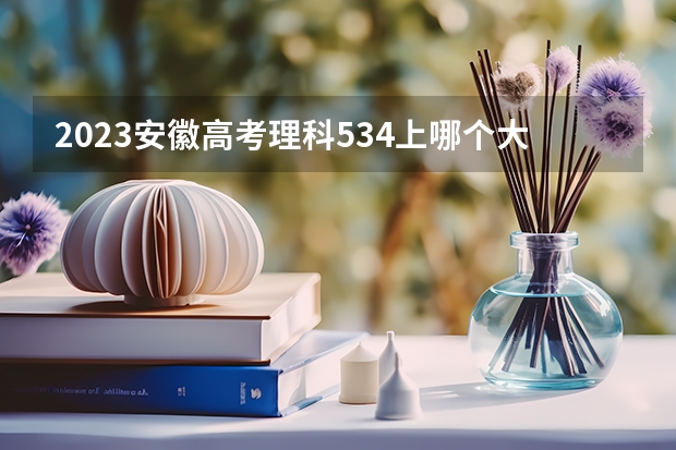 2023安徽高考理科534上哪个大学合适