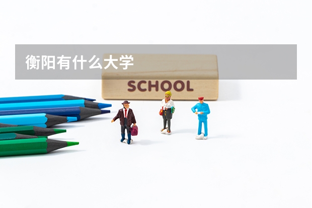 衡阳有什么大学