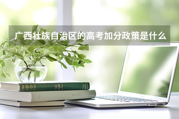 广西壮族自治区的高考加分政策是什么？