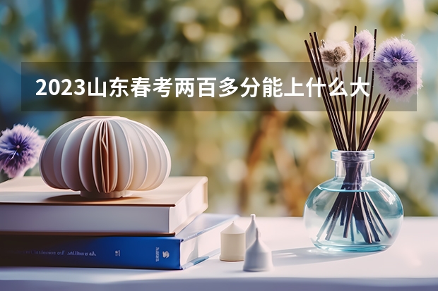 2023山东春考两百多分能上什么大学护理？
