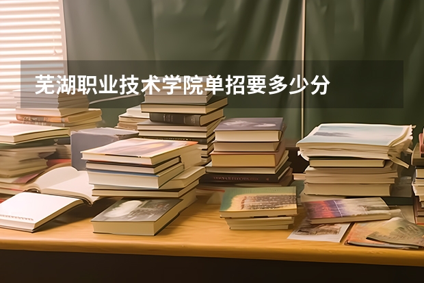 芜湖职业技术学院单招要多少分