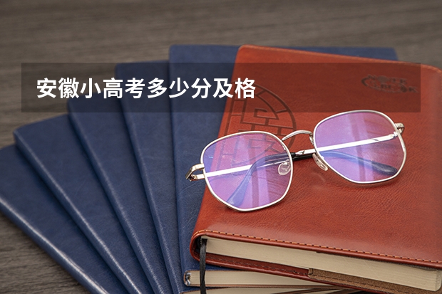 安徽小高考多少分及格