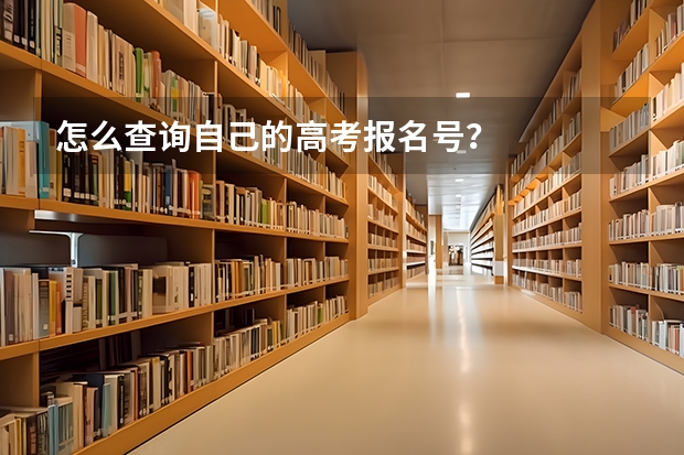 怎么查询自己的高考报名号？