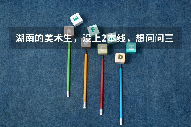 湖南的美术生，没上2本线，想问问三本跟专科是怎么回事啊？