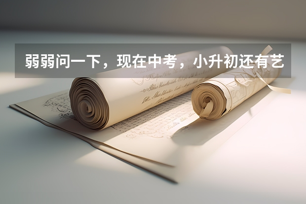 弱弱问一下，现在中考，小升初还有艺术特长加分一说吗