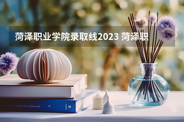 菏泽职业学院录取线2023 菏泽职业学院投档线