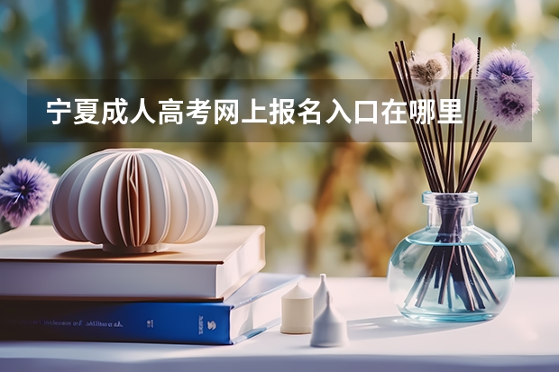 宁夏成人高考网上报名入口在哪里