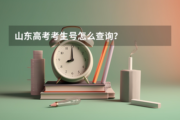 山东高考考生号怎么查询？