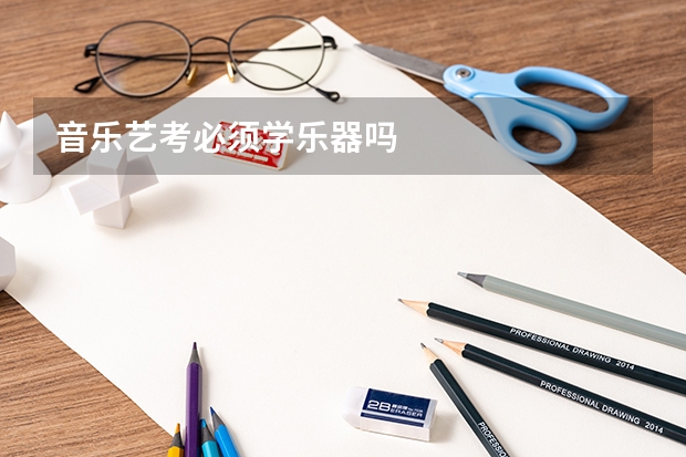 音乐艺考必须学乐器吗