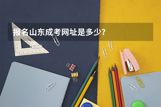 报名山东成考网址是多少？