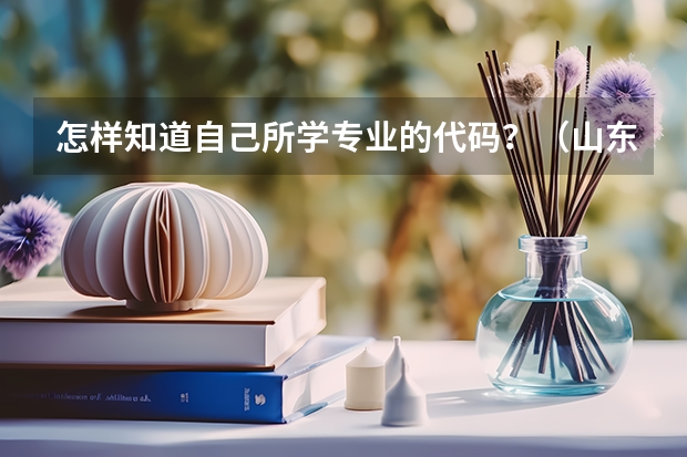 怎样知道自己所学专业的代码？（山东省各大学代码）
