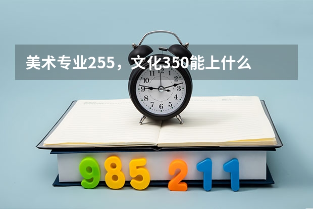 美术专业255，文化350能上什么大学？