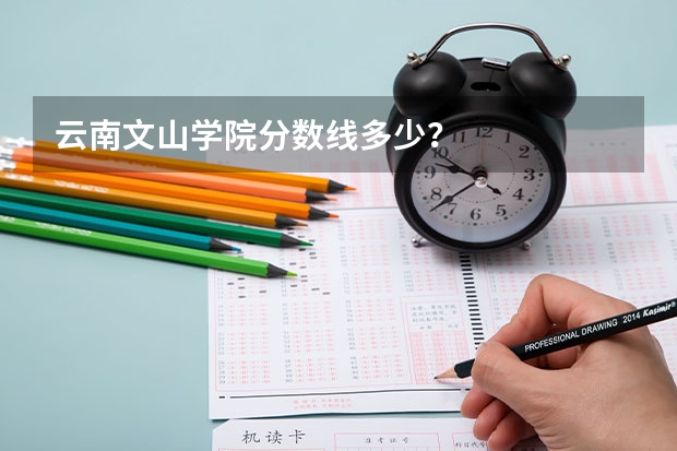 云南文山学院分数线多少？